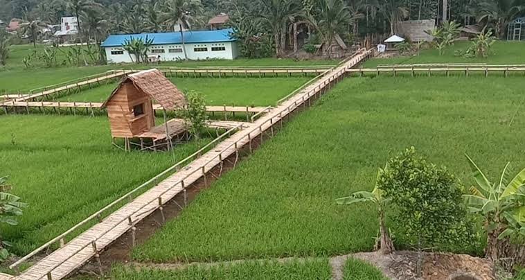 Atasi Penyempitan Lahan, Pemkab Balangan Tingkatkan Indeks Tanam