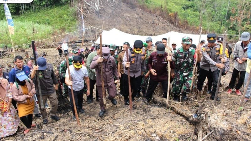 Pj Bupati Mura Bersama Gubernur Kalteng Laksanakan Penanaman Padi Gogo