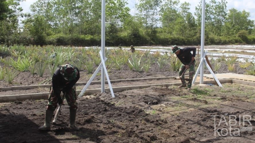 Satgas TMMD Kodim 1012/Buntok Gelar Pembersihan Lahan Pertanian
