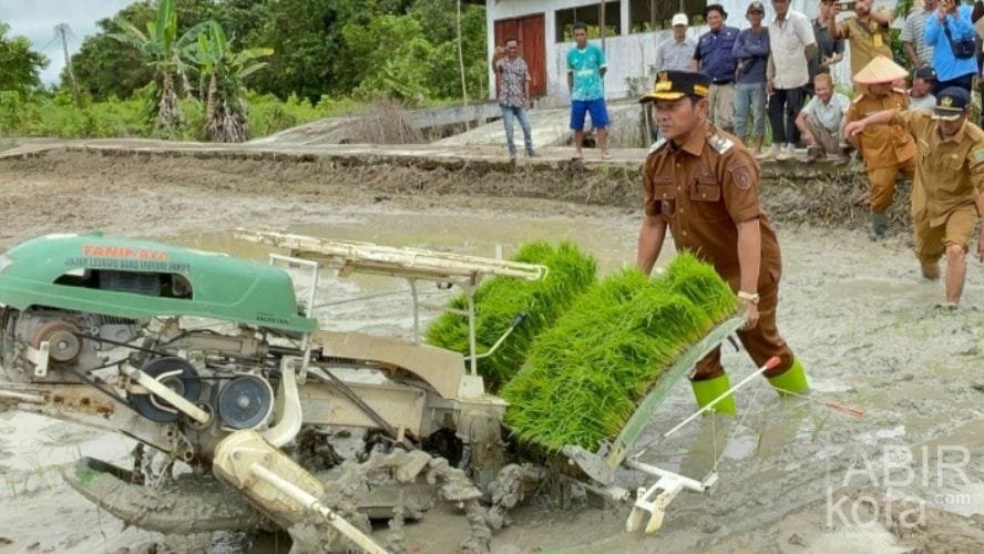 Perkuat Ketahanan Pangan, Wabup Barsel Serahkan Bantuan Benih dan Alsintan untuk Poktan