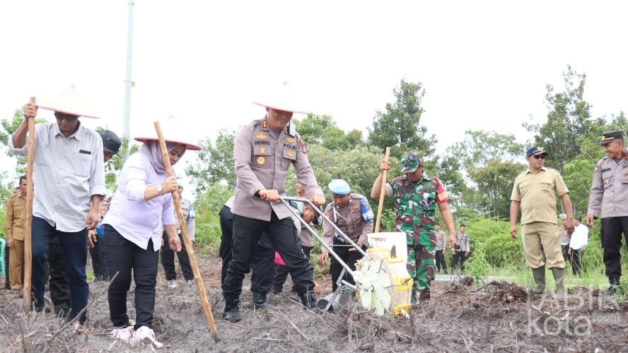 Dukung Ketahanan Pangan Nasional, Kapolres Barsel Bersama PT BAM Gelar Penanaman Jagung