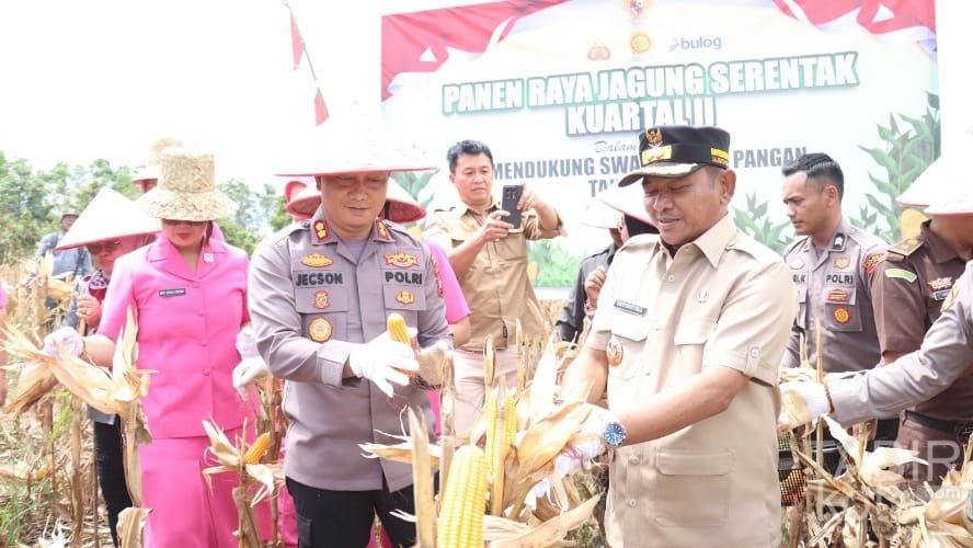 Dukung Ketahanan Pangan, Kapolres Barsel Hadiri Panen Raya Jagung di Ngurit